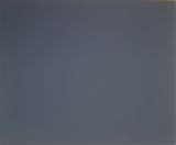 SILVESTRI GRAY CARD  Cartoncino Grigio Neutro 18% KODAK : Contiene 1 cartoncino 20x25 Cm. Spessore 2mm